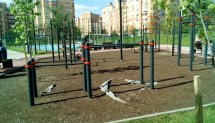 Площадка для воркаута в городе Москва №6726 Средняя Хомуты фото