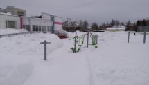 Площадка для воркаута в городе Ленск №8307 Средняя Современная фото