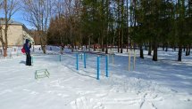 Площадка для воркаута в городе Обнинск №8339 Средняя Советская фото