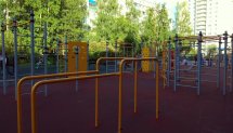 Площадка для воркаута в городе Санкт-Петербург №8625 Большая Хомуты фото