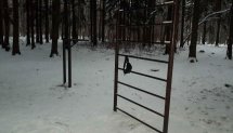 Площадка для воркаута в городе Москва №9263 Маленькая Советская фото