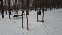 Площадка для воркаута в городе Красноярск №10612 Маленькая Советская фото