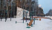 Площадка для воркаута в городе Заречный №11766 Средняя Современная фото