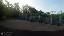 Площадка для воркаута в городе Чехов №12437 Маленькая Советская фото