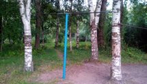 Площадка для воркаута в городе Колпино №4125 Маленькая Советская фото