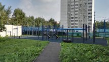 Площадка для воркаута в городе Москва №5417 Средняя Хомуты фото