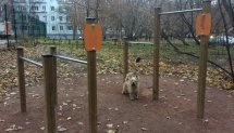 Площадка для воркаута в городе Москва №4508 Маленькая Современная фото