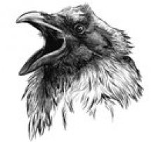 bahelor