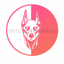 White_Doberman