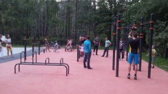 Площадка для воркаута в городе Москва №4095 Средняя Хомуты фото