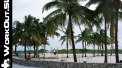 Площадка для воркаута в городе Майами №477 Средняя Легендарная фото