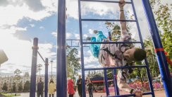 Площадка для воркаута в городе Балашиха №5593 Средняя Хомуты фото