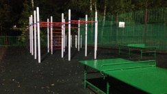 Площадка для воркаута в городе Власиха №5651 Средняя Хомуты фото