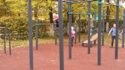 Площадка для воркаута в городе Кострома №5653 Средняя Хомуты фото