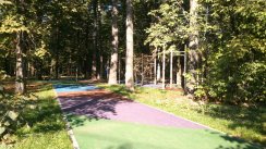 Площадка для воркаута в городе Москва №2488 Большая Хомуты фото