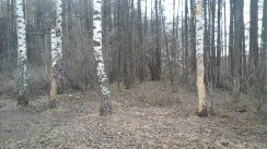 Площадка для воркаута в городе Рязань №5067 Маленькая Советская фото