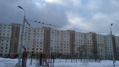 Площадка для воркаута в городе Киев №5040 Средняя Современная фото