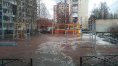 Площадка для воркаута в городе Санкт-Петербург №6239 Маленькая Современная фото