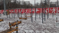 Площадка для воркаута в городе Химки №6295 Средняя Хомуты фото