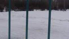 Площадка для воркаута в городе Москва №6238 Маленькая Советская фото