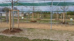 Площадка для воркаута в городе Мюнхен №6476 Большая Современная фото