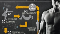 Тренировочные программы от TribeSports