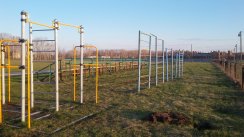 Площадка для воркаута в городе Рязань №6506 Маленькая Советская фото