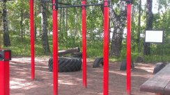 Площадка для воркаута в городе Ижевск №6717 Средняя Хомуты фото