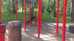 Площадка для воркаута в городе Ижевск №6717 Средняя Хомуты фото