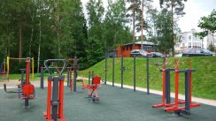 Площадка для воркаута в городе Красногорск №6733 Маленькая Хомуты фото