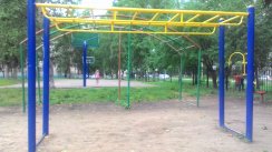 Площадка для воркаута в городе Биробиджан №7158 Средняя Советская фото