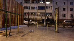Площадка для воркаута в городе Красногорск №7186 Средняя Советская фото