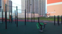 Площадка для воркаута в городе Санкт-Петербург №7308 Средняя Хомуты фото