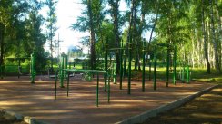 Площадка для воркаута в городе Кашира №7561 Средняя Современная фото