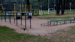 Площадка для воркаута в городе Котельники №7601 Средняя Советская фото