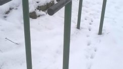 Площадка для воркаута в городе Торжок №7992 Средняя Советская фото