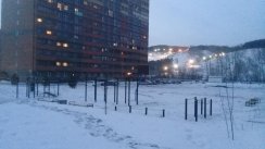 Площадка для воркаута в городе Новосибирск №8036 Средняя Хомуты фото