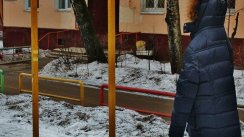 Площадка для воркаута в городе Королев №8117 Маленькая Советская фото