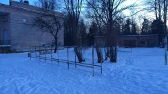 Площадка для воркаута в городе Павловск №8299 Средняя Советская фото