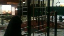 Площадка для воркаута в городе Королев №8364 Средняя Хомуты фото