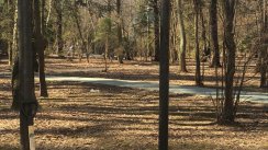 Площадка для воркаута в городе Химки №8663 Маленькая Советская фото