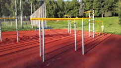 Площадка для воркаута в городе Москва №9358 Большая Хомуты фото