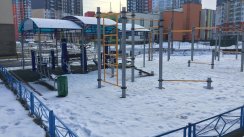 Площадка для воркаута в городе Санкт-Петербург №9420 Средняя Хомуты фото