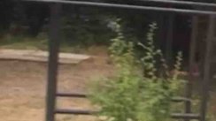 Площадка для воркаута в городе Геленджик №9863 Маленькая Советская фото