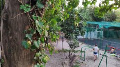 Площадка для воркаута в городе Сочи №9872 Маленькая Советская фото