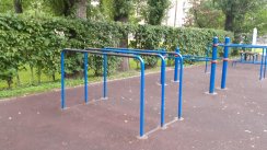 Площадка для воркаута в городе Санкт-Петербург №8239 Большая Хомуты фото