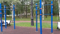 Площадка для воркаута в городе Санкт-Петербург №8239 Большая Хомуты фото