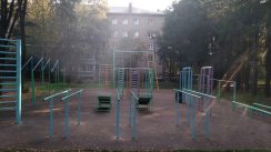 Площадка для воркаута в городе Красноармейск №10176 Средняя Советская фото