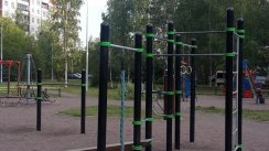 Площадка для воркаута в городе Санкт-Петербург №10220 Средняя Хомуты фото