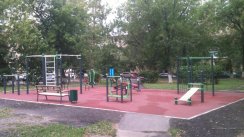 Площадка для воркаута в городе Королев №10262 Маленькая Хомуты фото